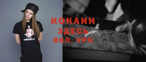 шишки Балахна