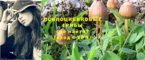 MDMA Белокуриха