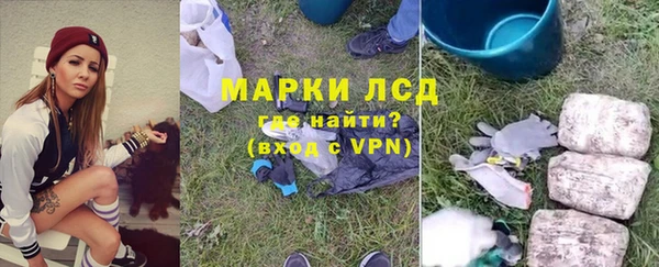 шишки Балахна