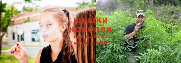шишки Балахна
