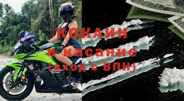 шишки Балахна